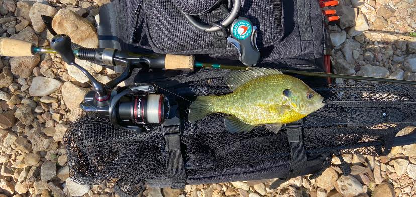 best fishing rod and reel combo for panfish Ice Zebco line What is a good ultralight