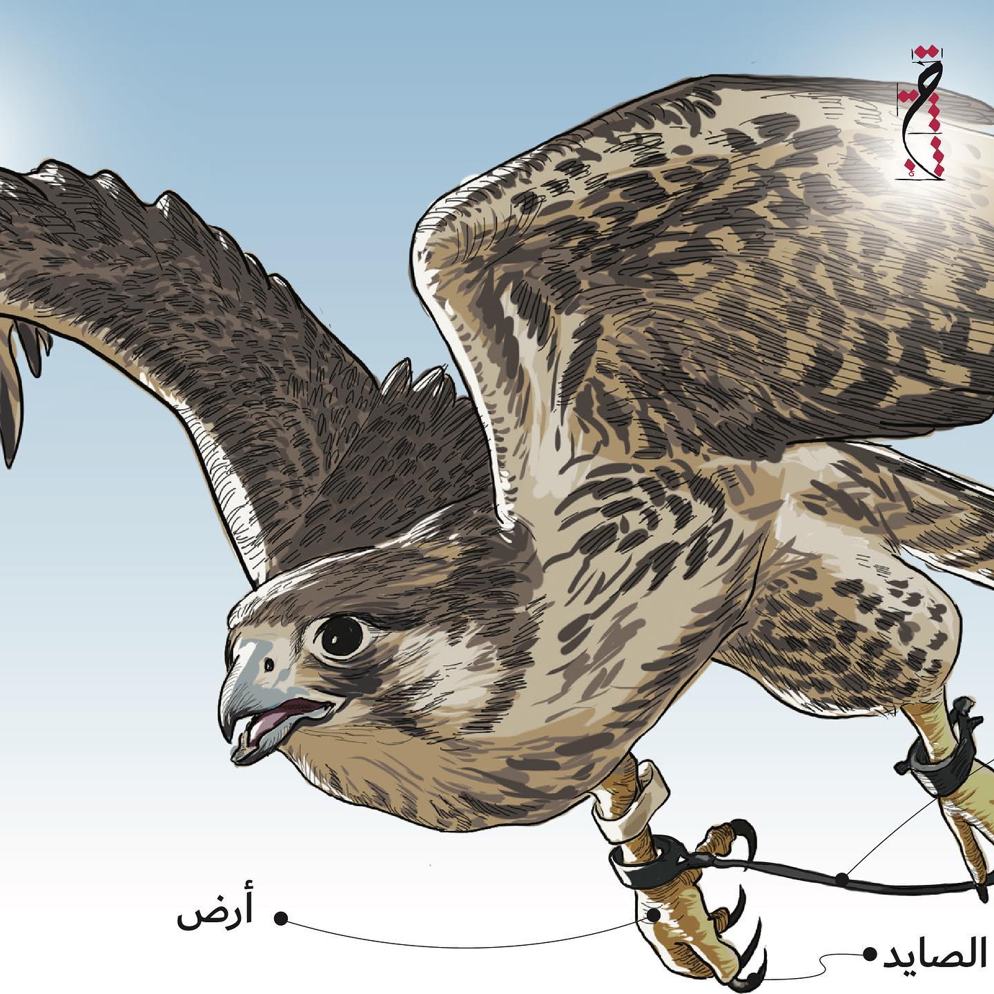 تعرفوا على مسميات... - Hamdan Bin Mohammad Heritage Center | Facebook