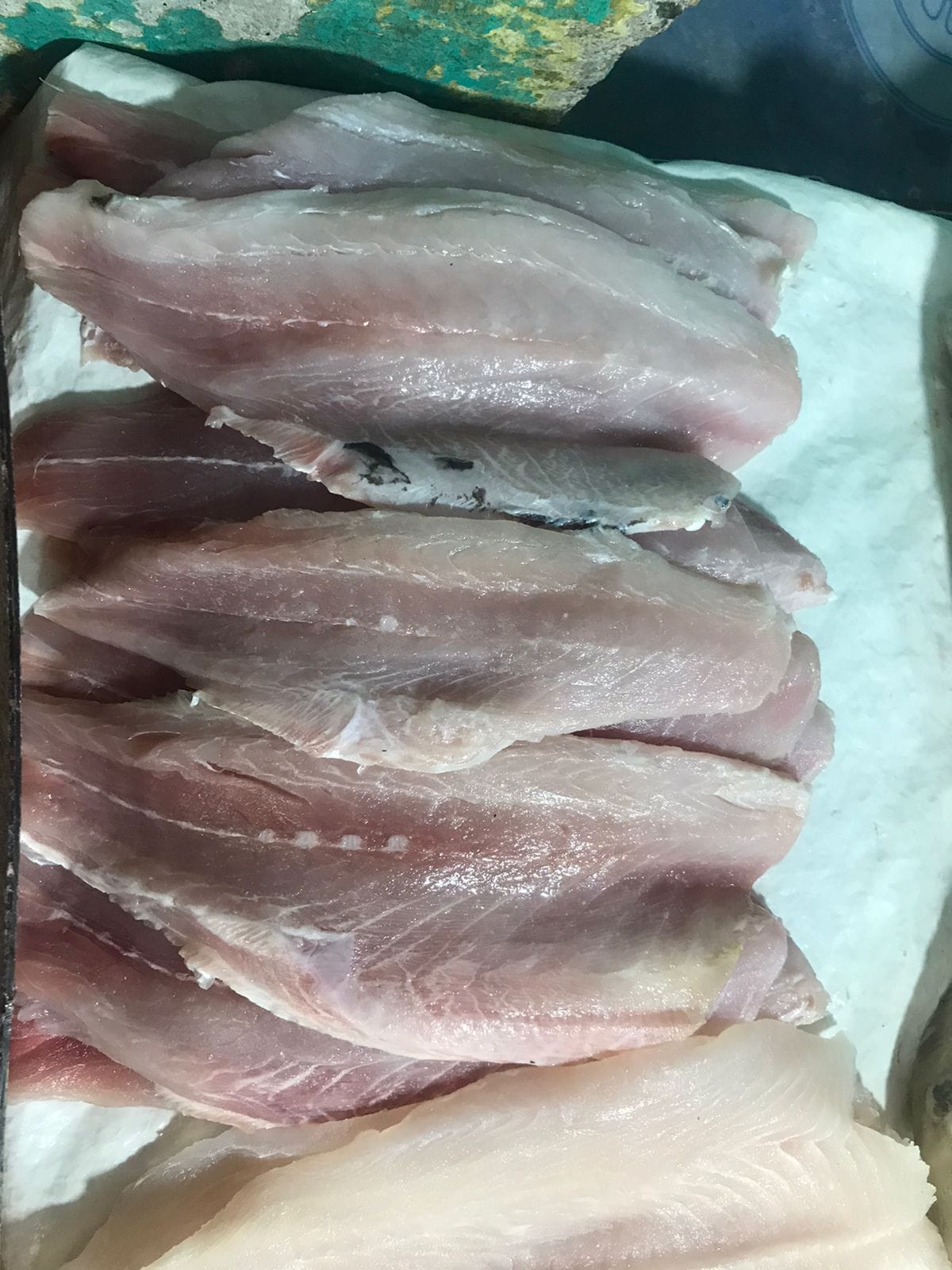 pescados-y-mariscos-laurita-tuxpan-de-rodr-guez-cano-centro