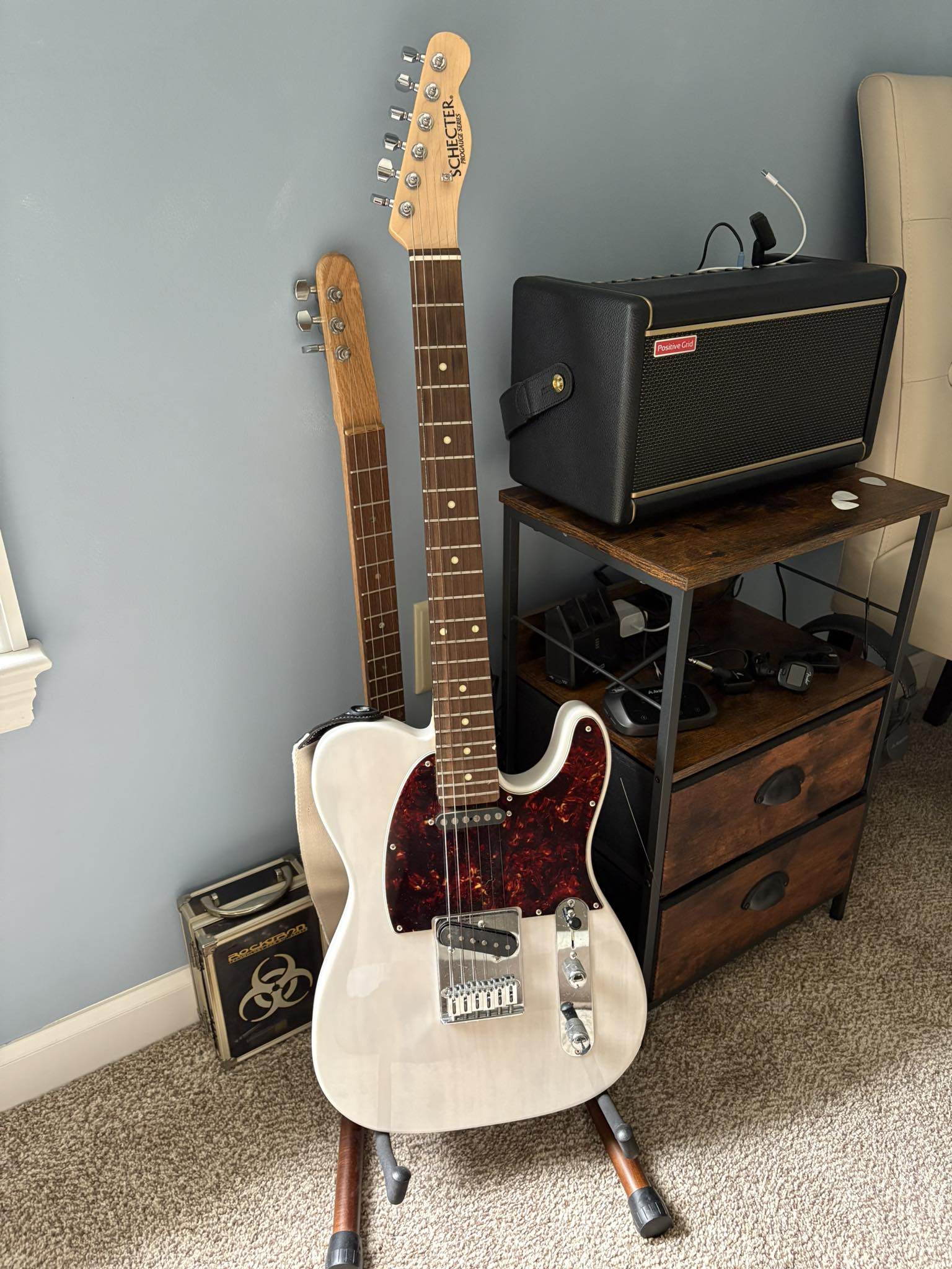 NGD ! Scored a Schecter Japan PA-LS/TK!