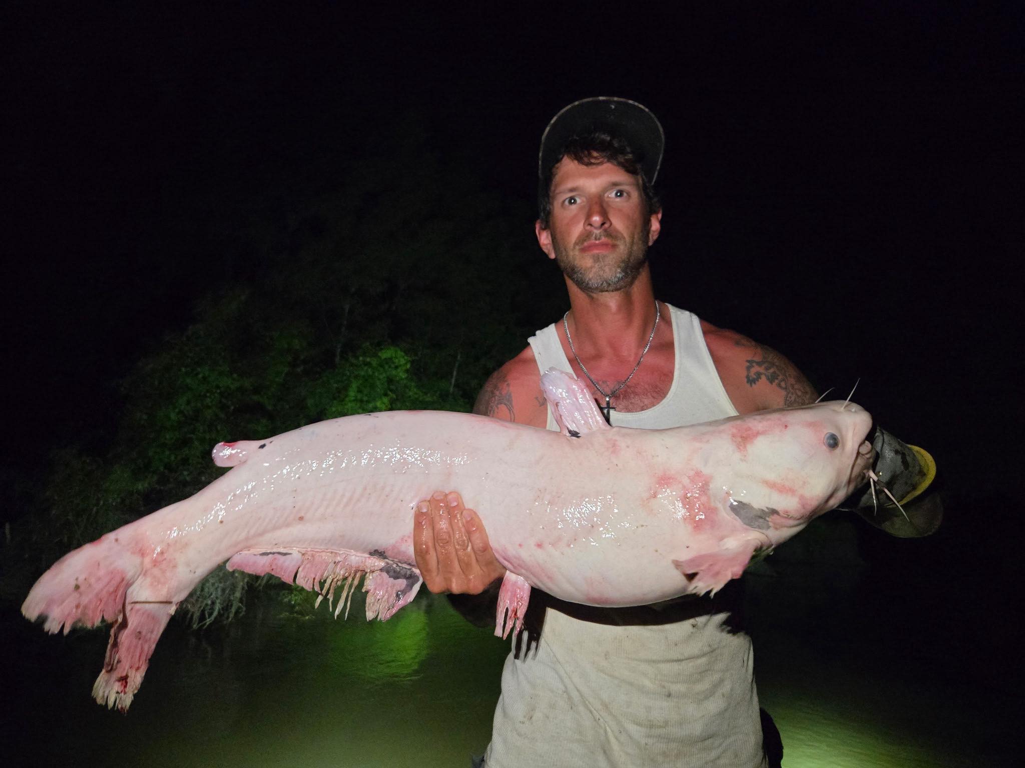 John Ferguson - All the catfish I’ve caught this is a... | Facebook
