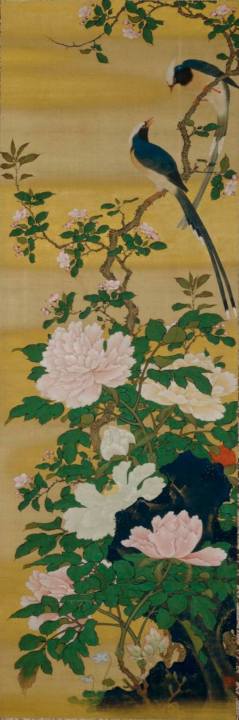 🌱🌱『美』を観て『和』する🌱🌱 円山応挙 Maruyama Ōkyo 《花鳥図