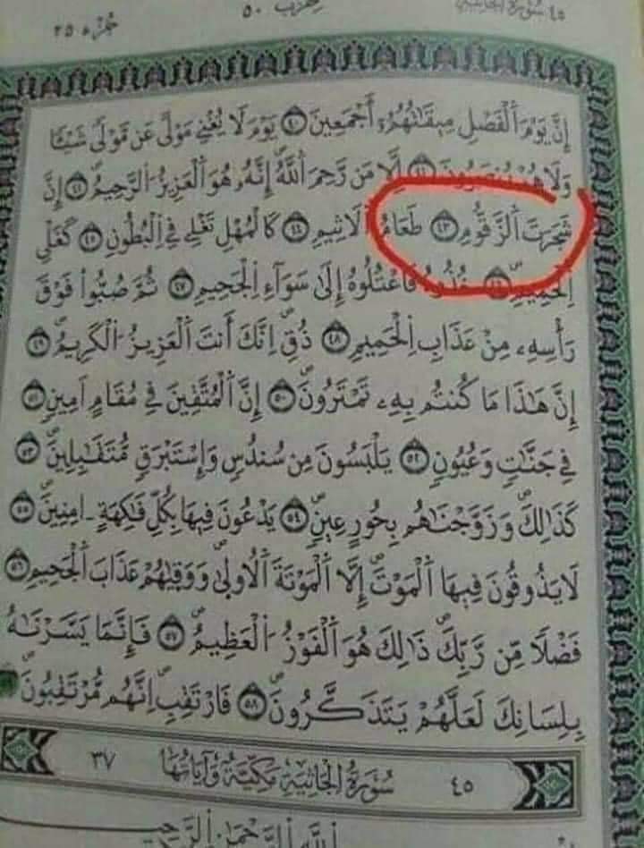 و ق ف وه م إ ن ه م م س ئ ول ون سؤال لماذا كتبت كلمة شجرت بالتاء المفتوحة في قوله تعالى إن شجرت الزقوم طعام الأثيم التاء المبسوطة والتاء المربوطة فى الرسم