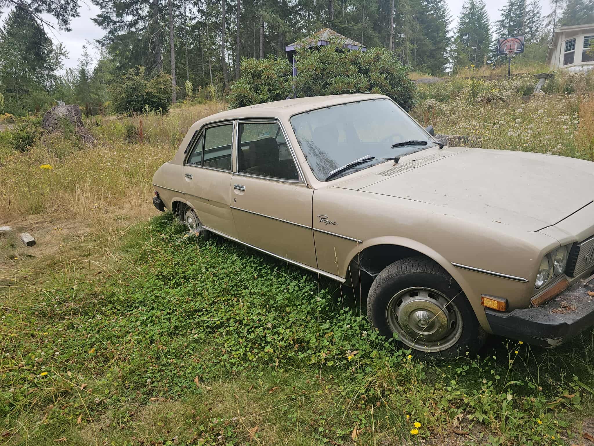 Peugeot 504 for sale in Washington state