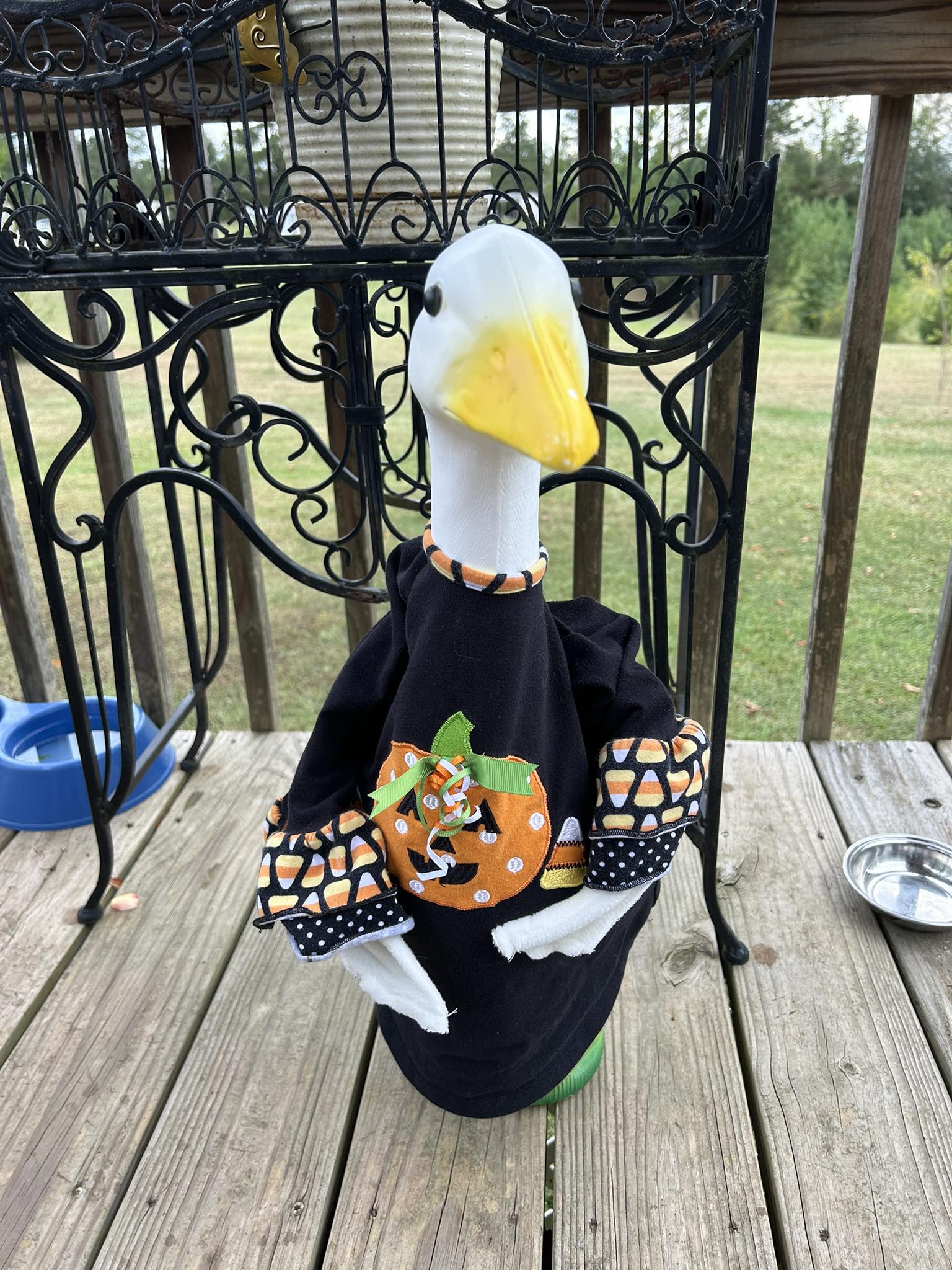 The Porch Goose Club of America | Lucy Gooey is ready for fall | Facebook
