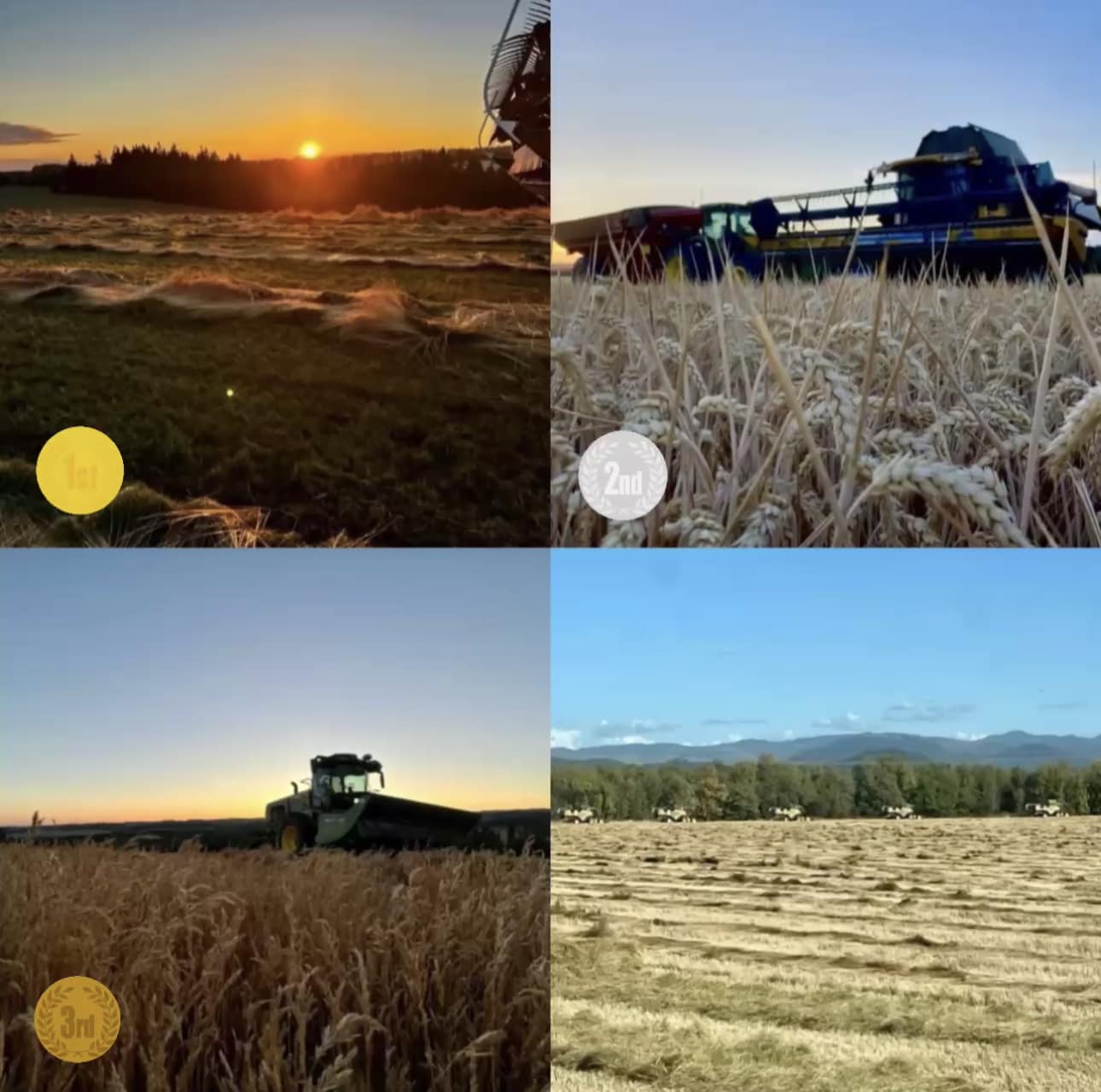 Victor Point Farms | Aumsville OR