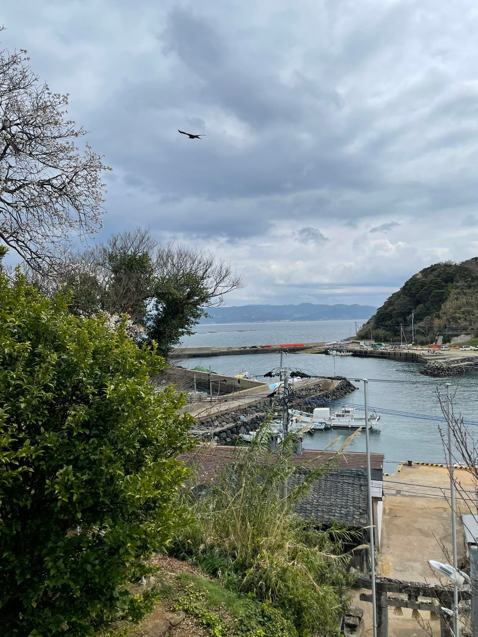 まうまう 山口