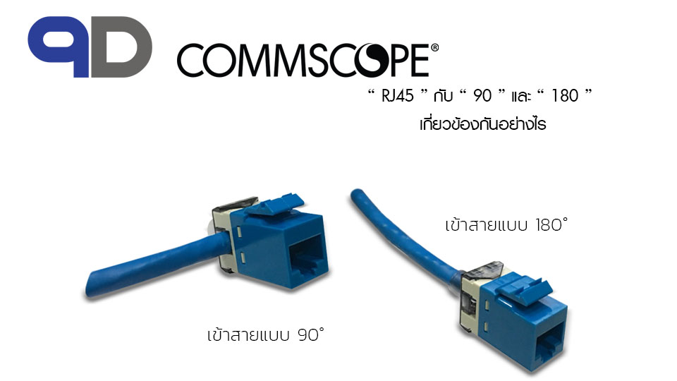 วันนี้เราจะพาทุกท่านมารู้จักกับ... - 9D Nine Distribution | Facebook