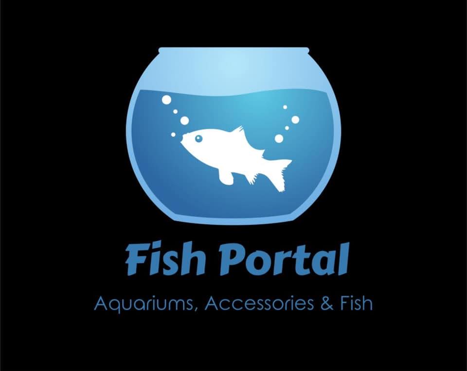 Yob Fish Portal | Angeles City