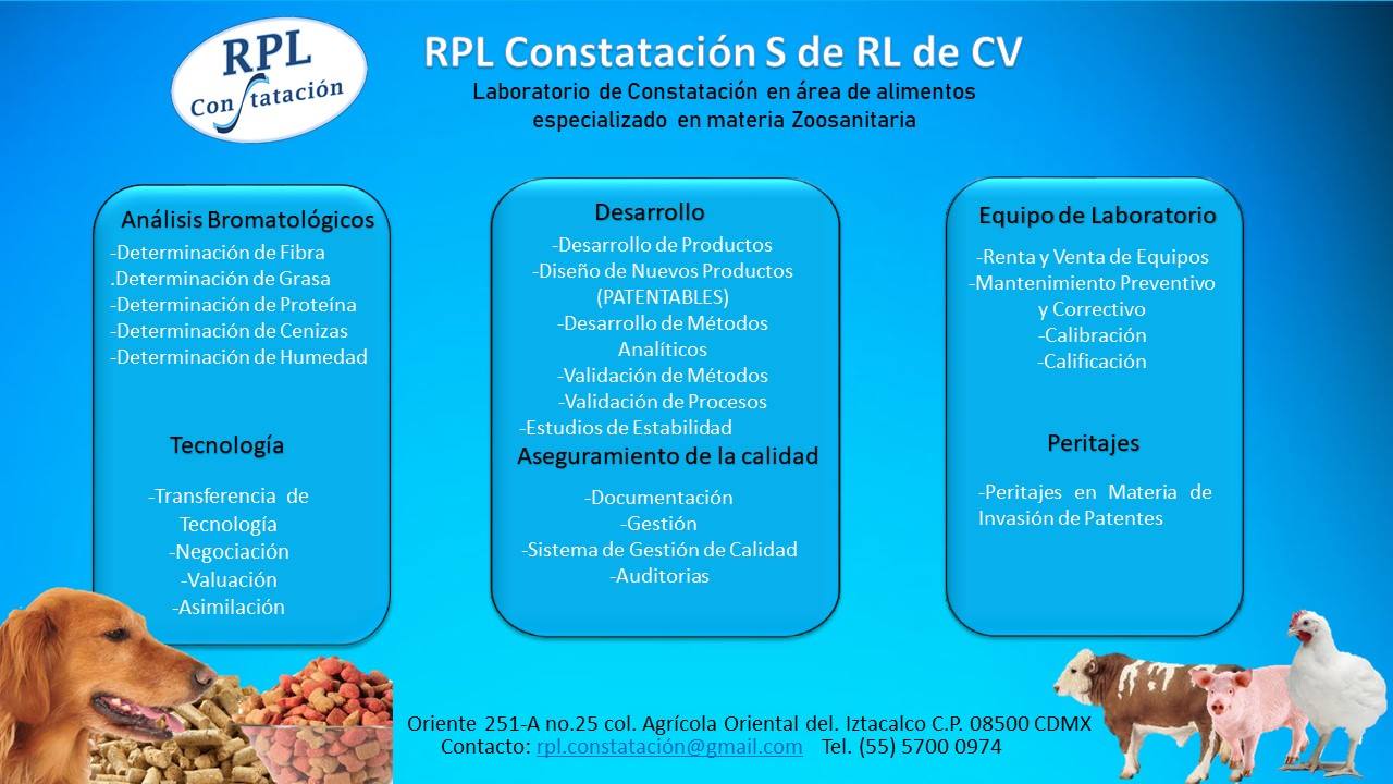 RPL Constatación S de RL de CV