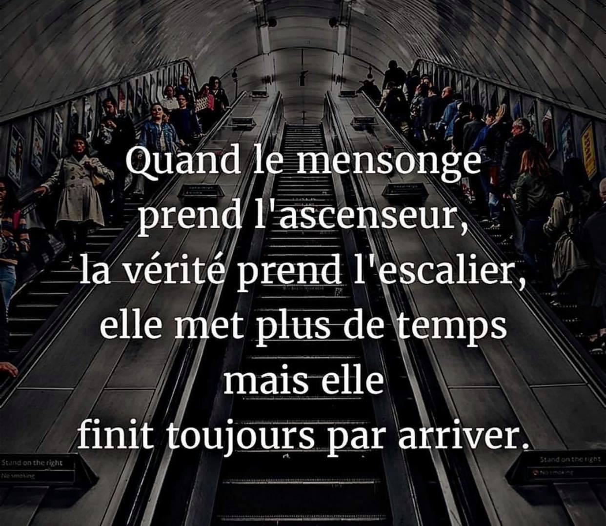 Le Mensonge Prend L ascenseur La Vérité Prend L escalier Auteur