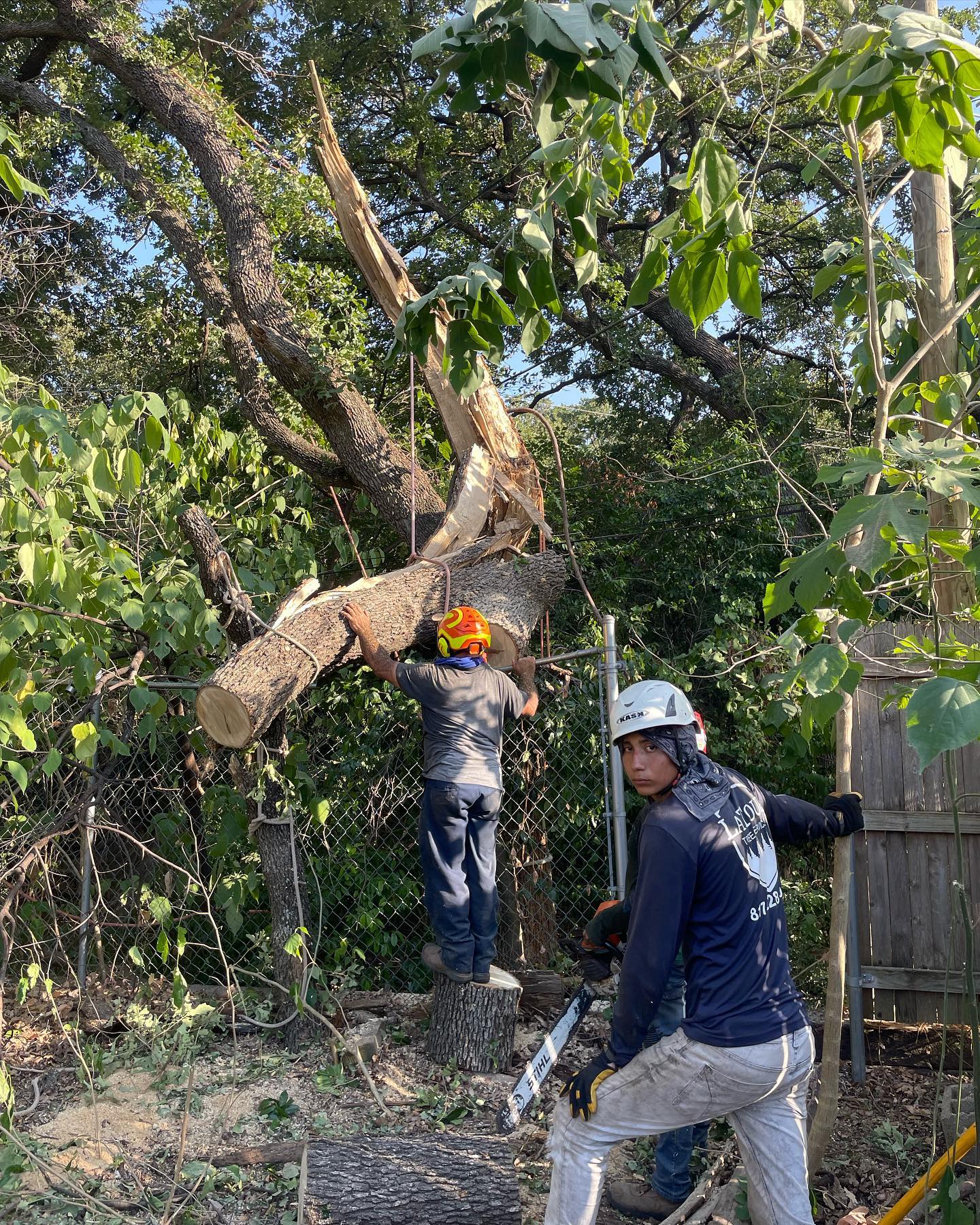 Tactical Tree Operations LLC