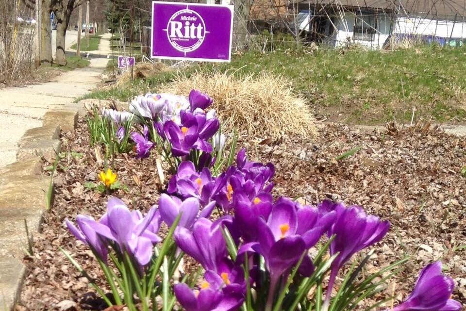 Michele Ritt for Dane County