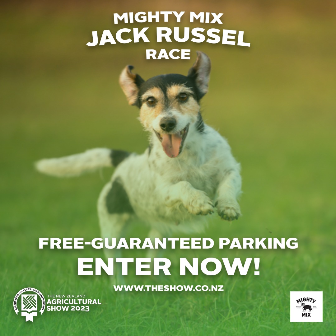 Royal - 📣 Jack Russell Owners! 📣 Entries for the Mighty Mix Dog Food ...