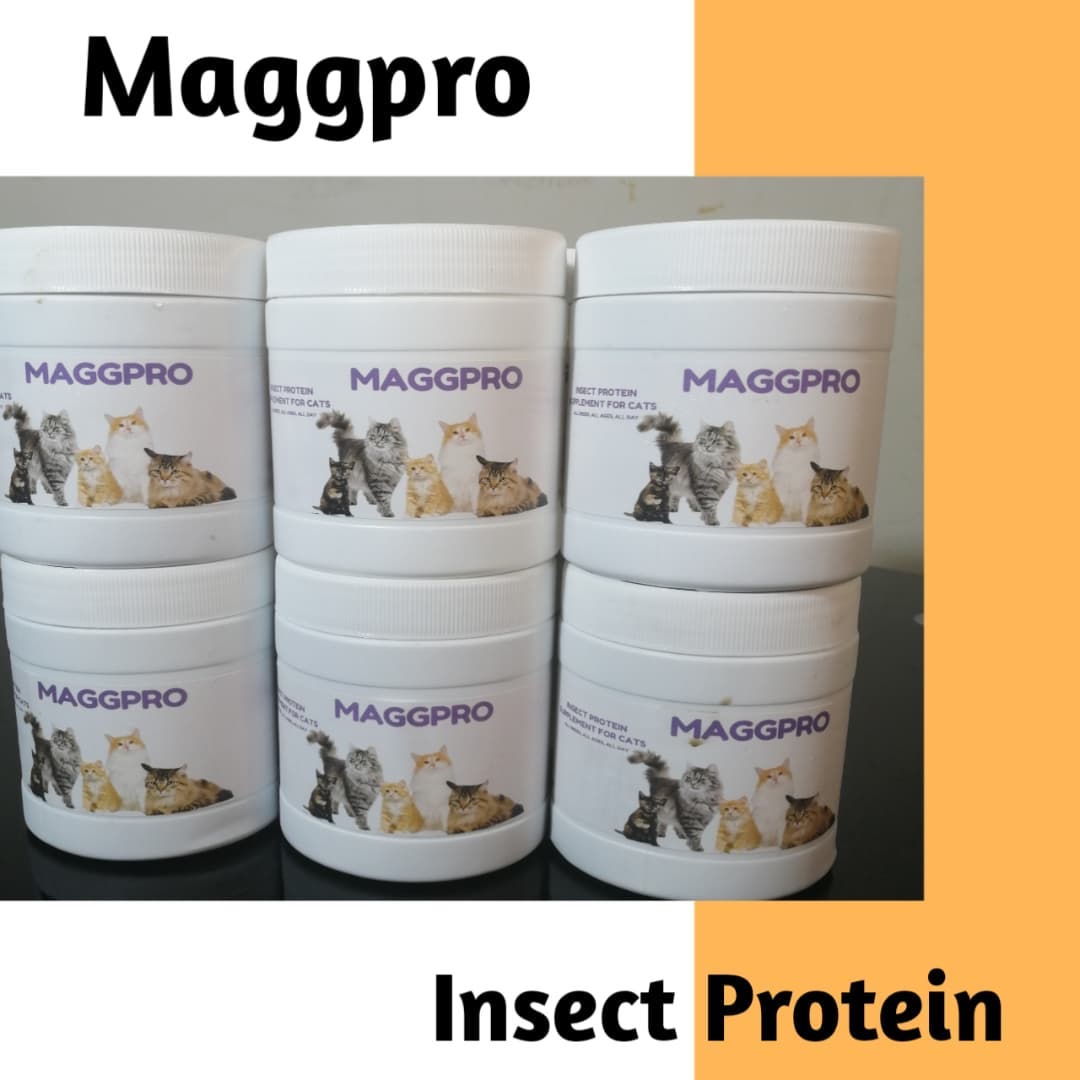 Mocca Pet Shop | Surabaya