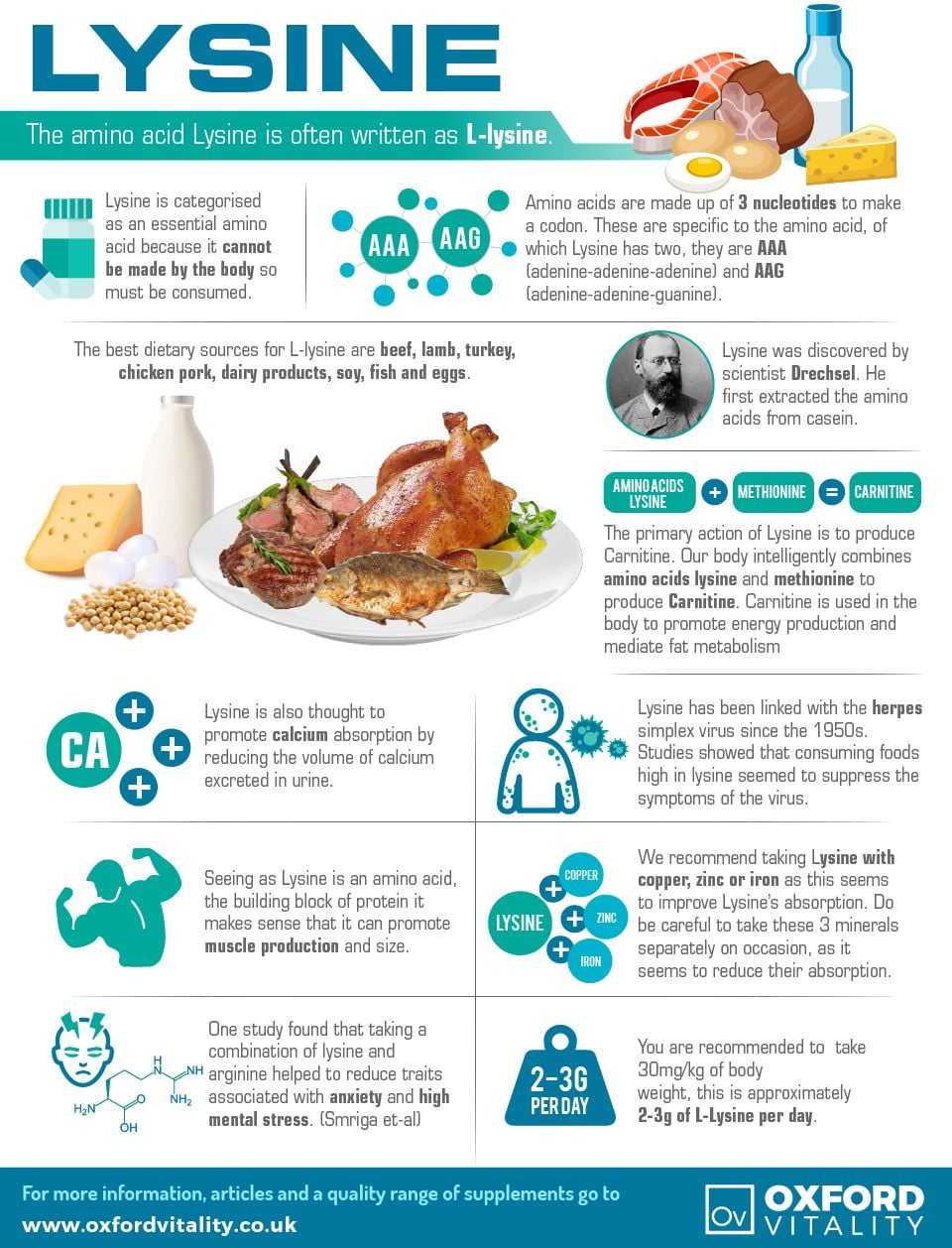l-lysine and l-carnitine together benefits 4 Impressive Health of Lysine Lysine is a building block for protein. It's an essential amino acid because your body cannot make it, so you need to obtain it from food mobility Killer Klowns from Outer Größe:60 Kapseln