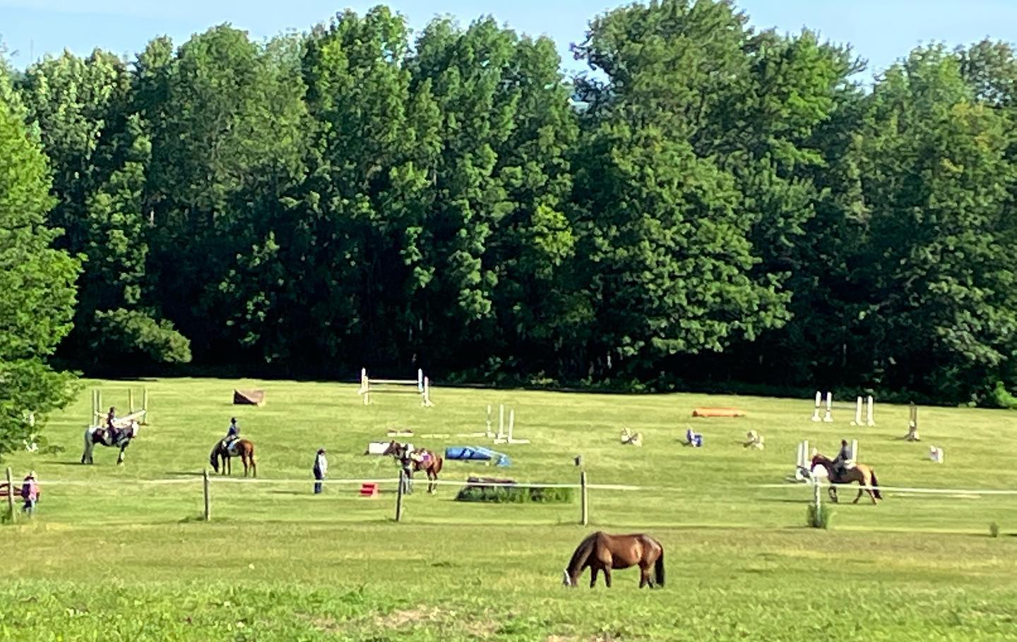 Jeanie Clarke Equestrian added... Jeanie Clarke Equestrian