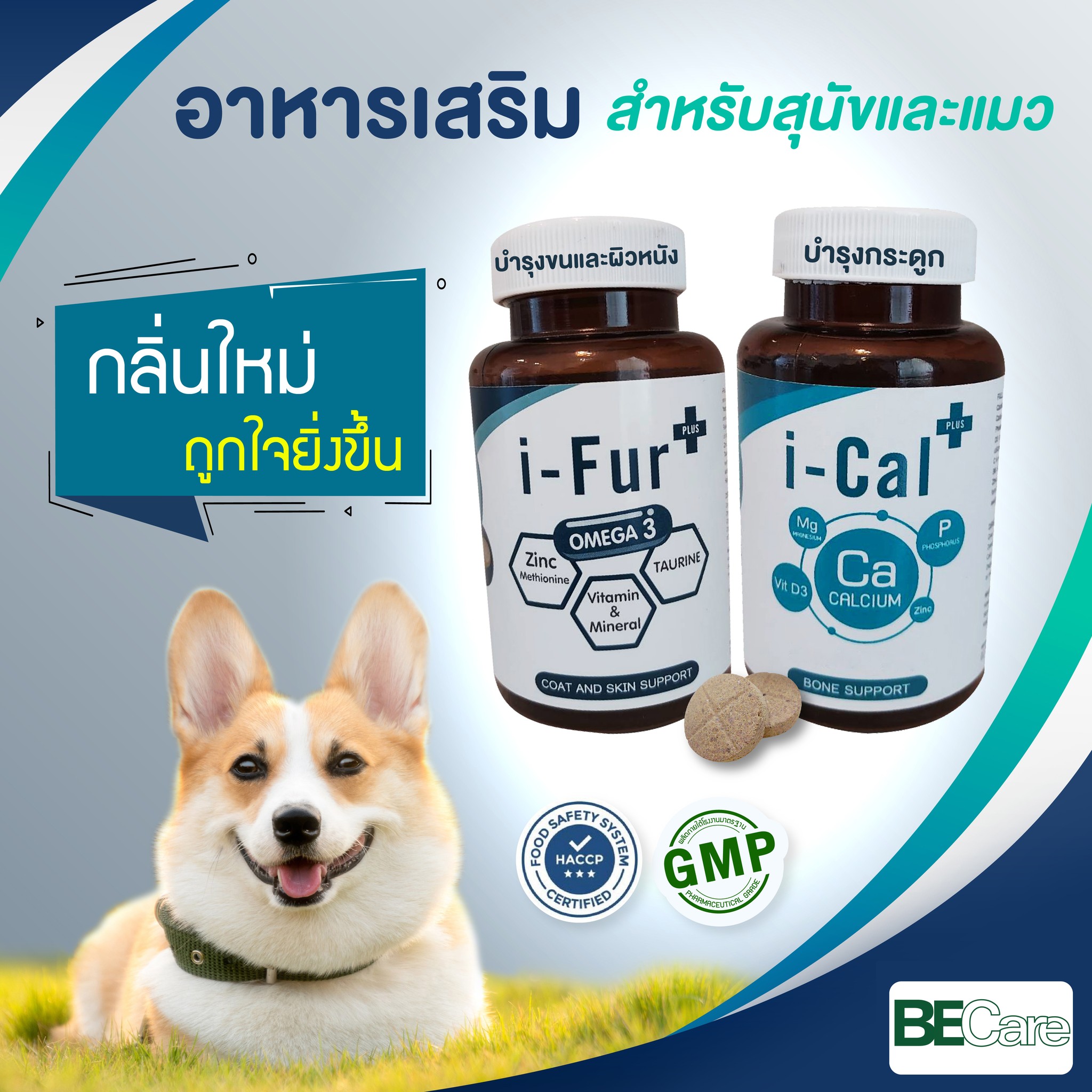 📣อาหารเสริมสำหรับสุนัข... - BECare ผลิตภัณฑ์ สำหรับสัตว์เลี้ยง | Facebook
