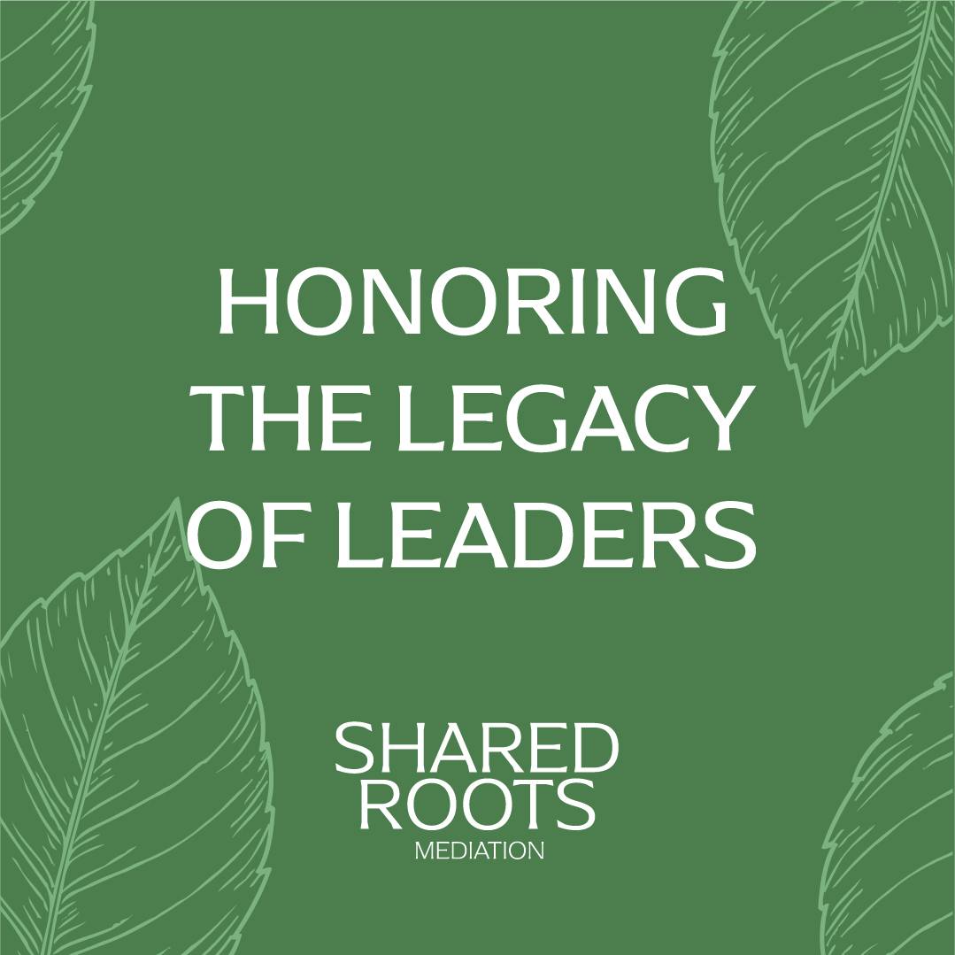 Shared Roots Collective | Chicago IL