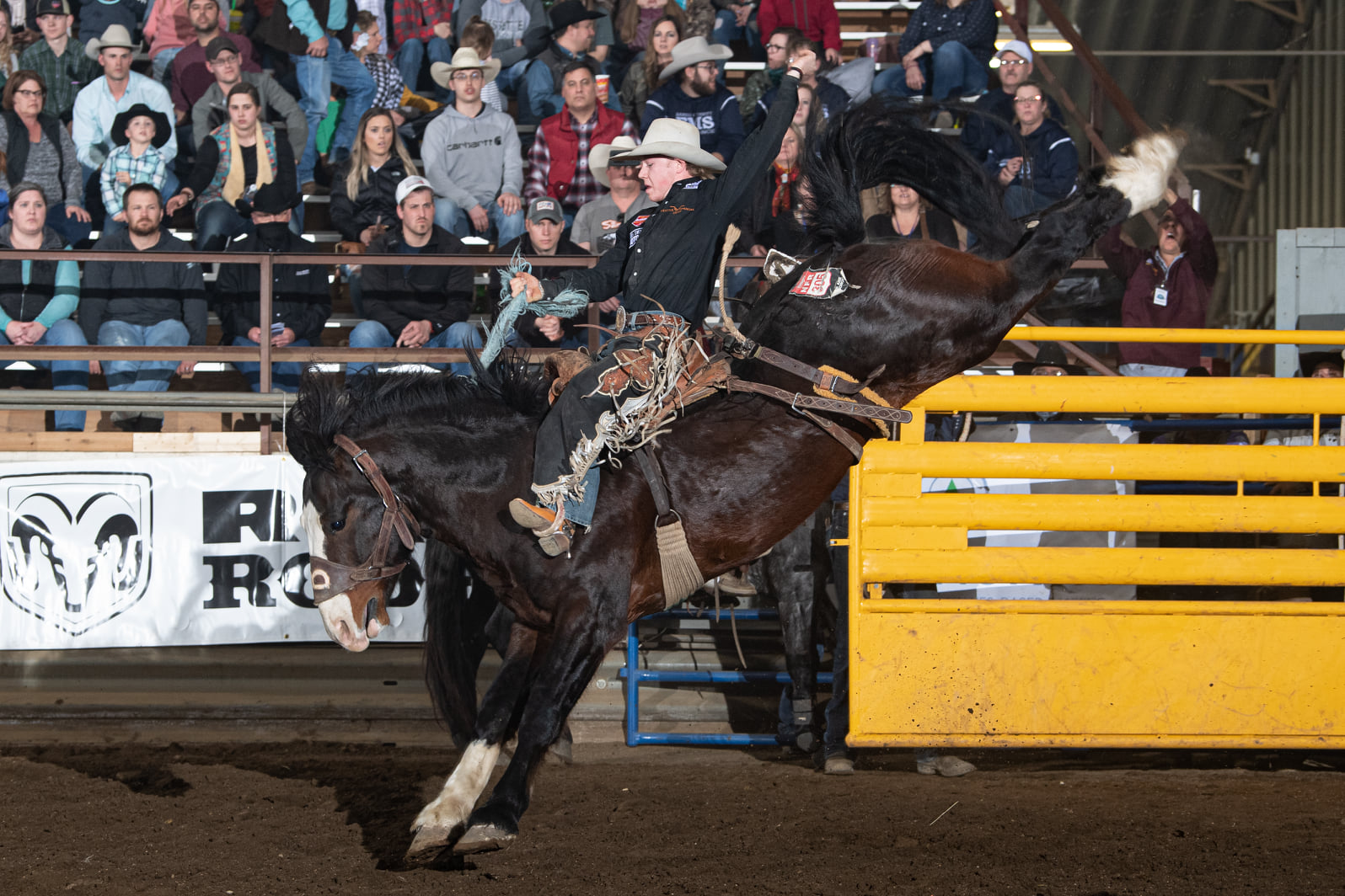 😎 PRCA Contestants!! 😎 Entries are... - Bailey Pro Rodeo | Facebook