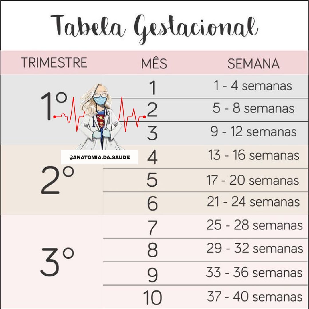 Tabela gestacional ! - anatomia.da.saude | Facebook