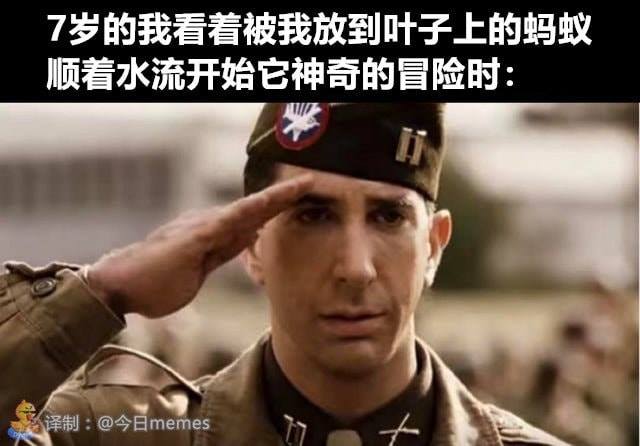 單身狗 Memes - 敬禮! 圖/ 今日memes