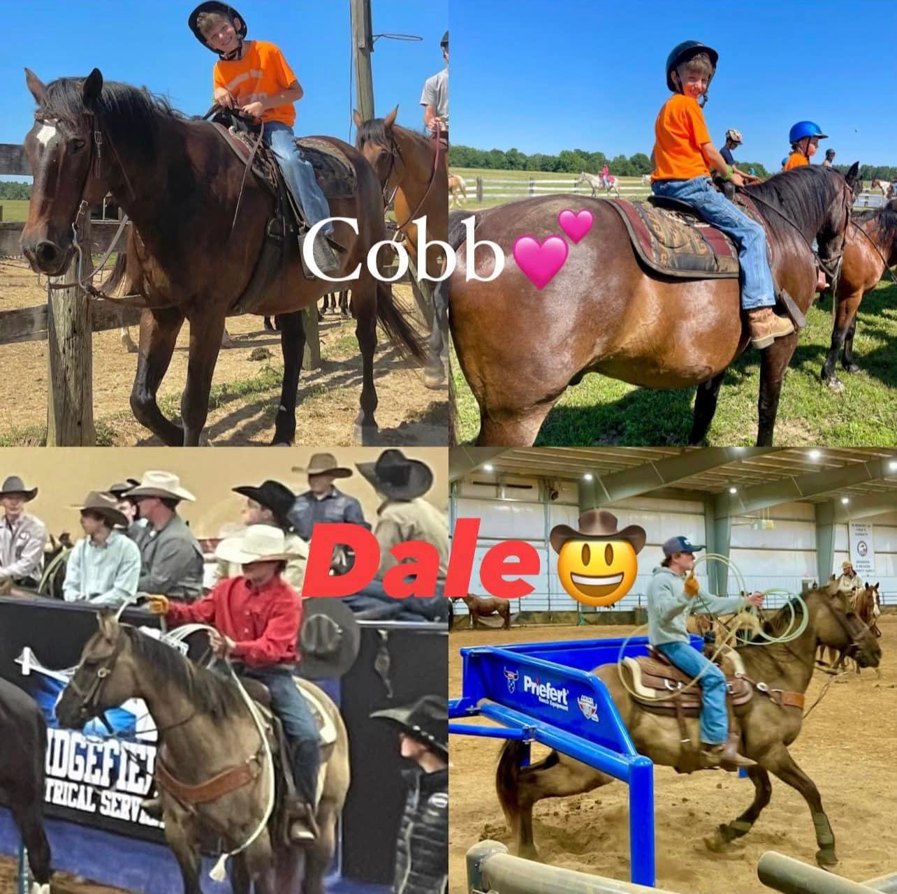 Circle T Ranch - Meet ⭐️COBB⭐️ and ⭐️DALE⭐️- They are two...