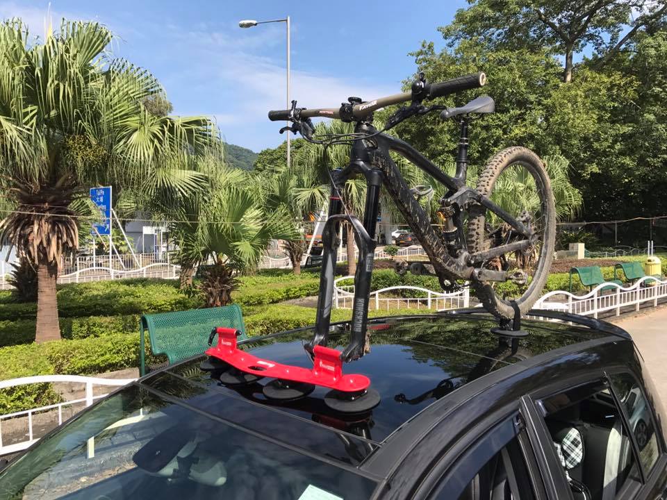 Tree Frog Bike Racks Hong Kong