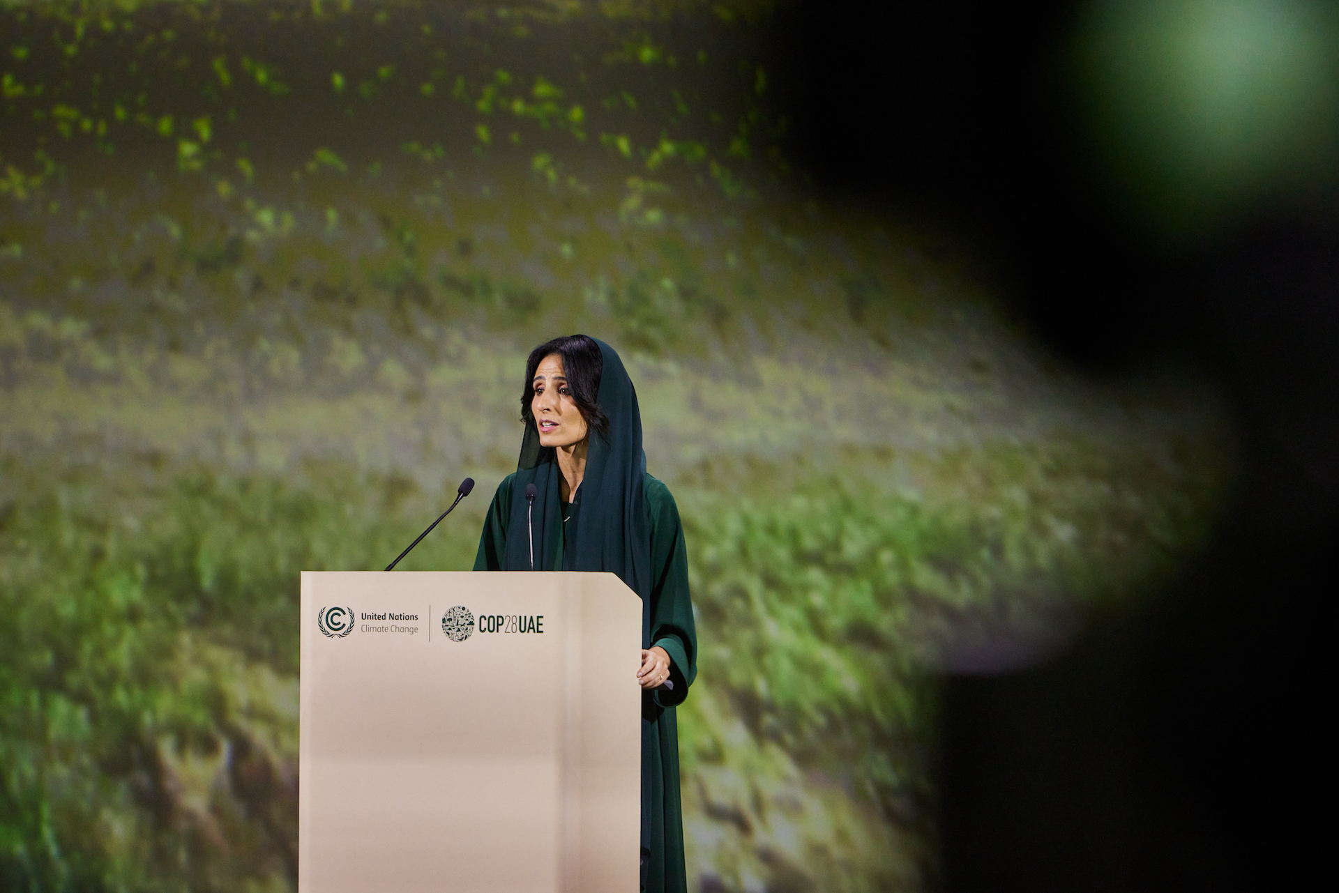 COP28 UAE - At COP28’s World Climate Action Summit,...