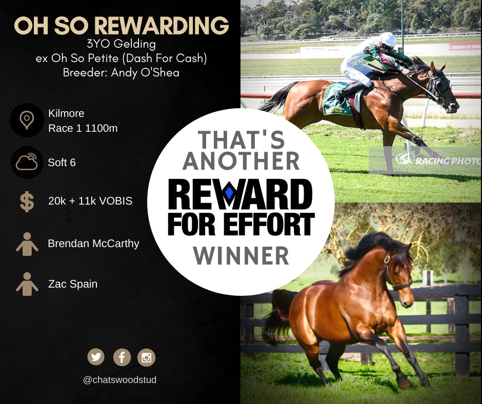 McCarthy Racing