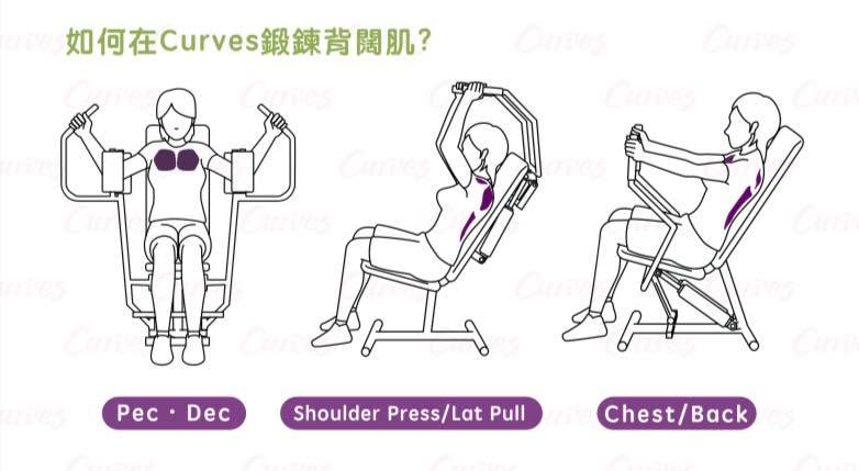 Curves 可爾姿高雄科工館店 - 肌肉故事: 背闊肌 背闊肌的功能 背闊肌又稱為闊背肌，當我們把手放下、向內轉動手臂，或進行划船、拉單槓等 ...