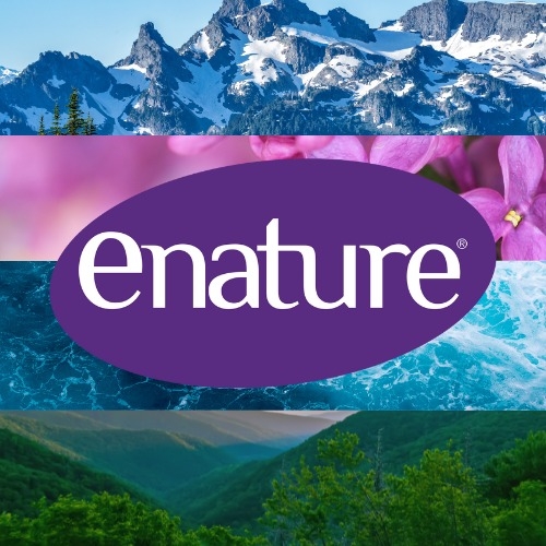 Una idea para elevar tus recetas con enature Smoothie de frutos rojos