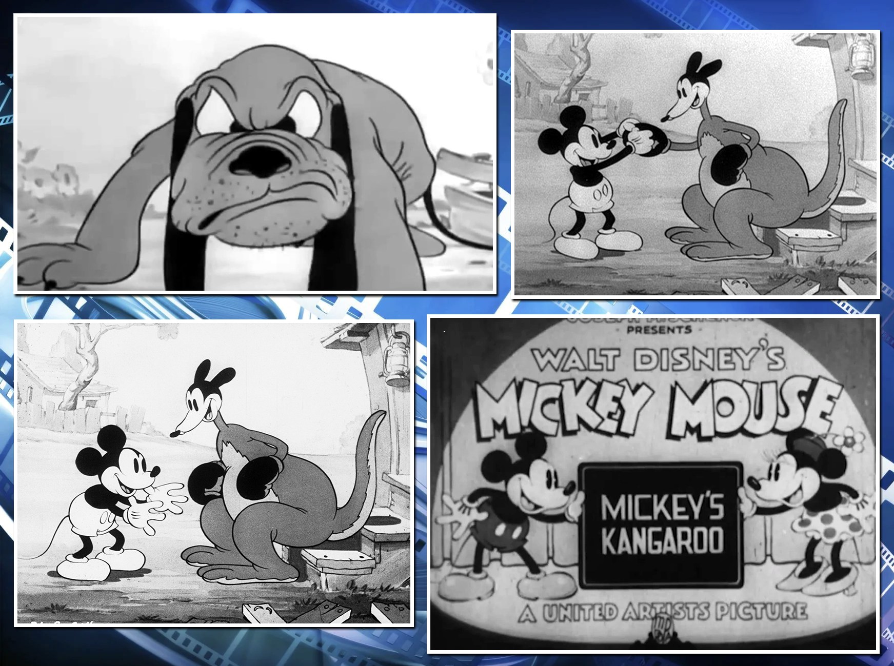 Happy 91st Anniversary to Mickey's Kangaroo 🎉 Released in 1935