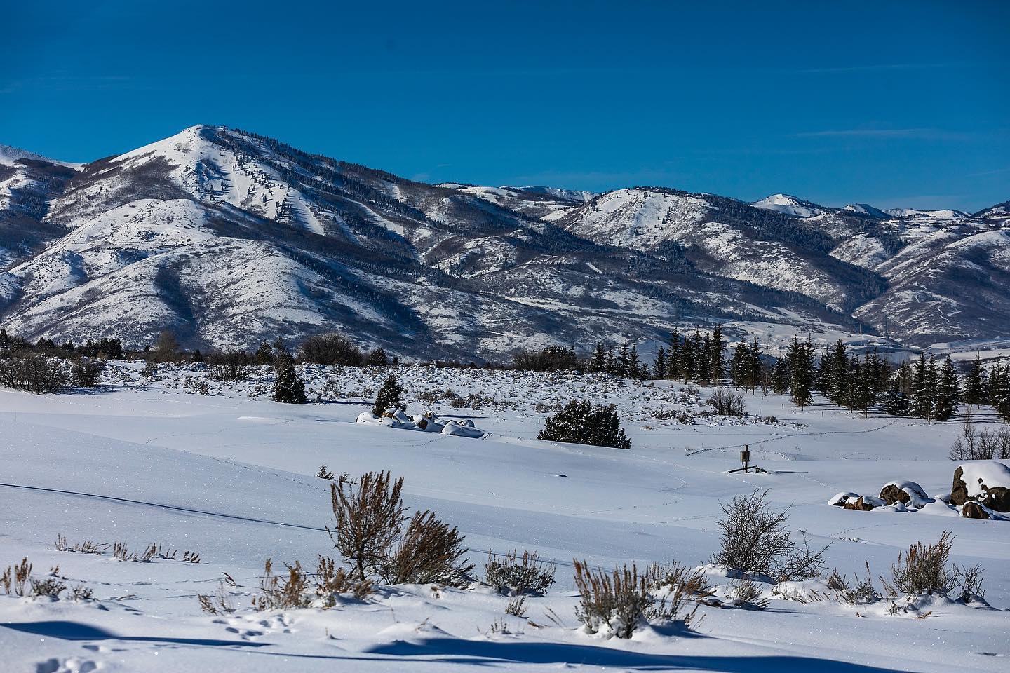 Benloch Ranch - Home
