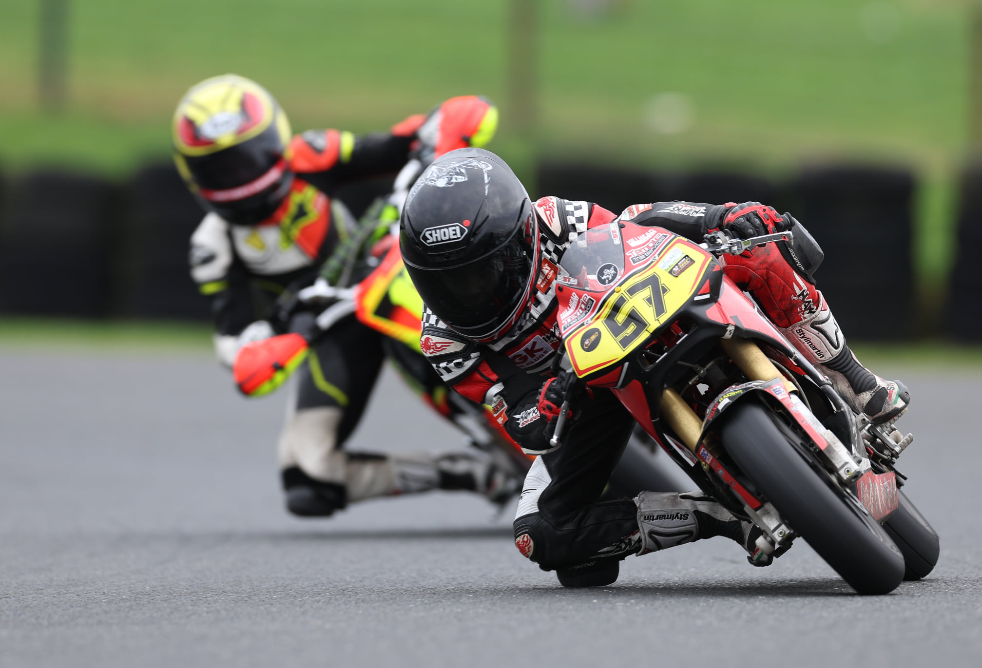 It's all in the eyes... a cub who's... - Team Boyd Racing