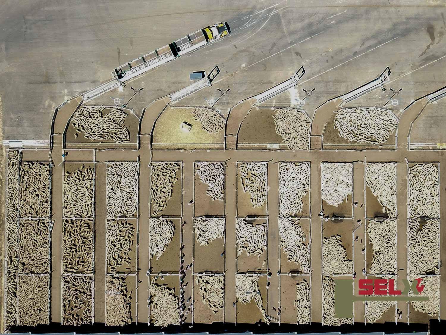 Designed and installed by... - ProWay Livestock Equipment | Facebook