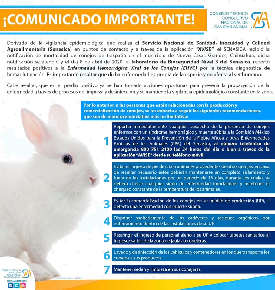 Ante la... - CIGA Centro de Innovación y Gestión Ambiental | Facebook