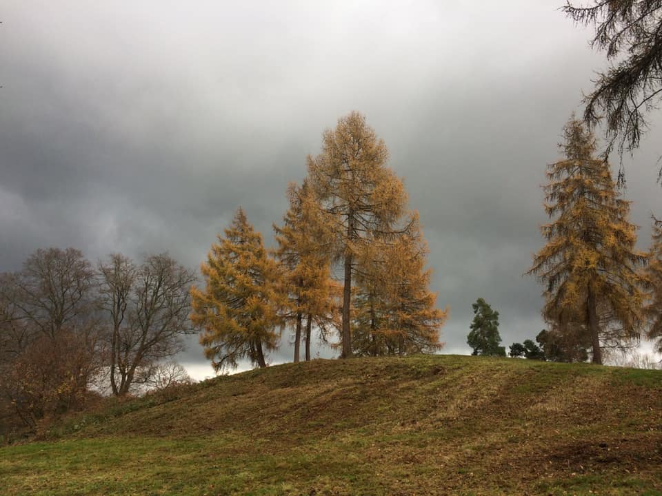 The fantastic Friends Of Deepdene... - The Deepdene Trail | Facebook