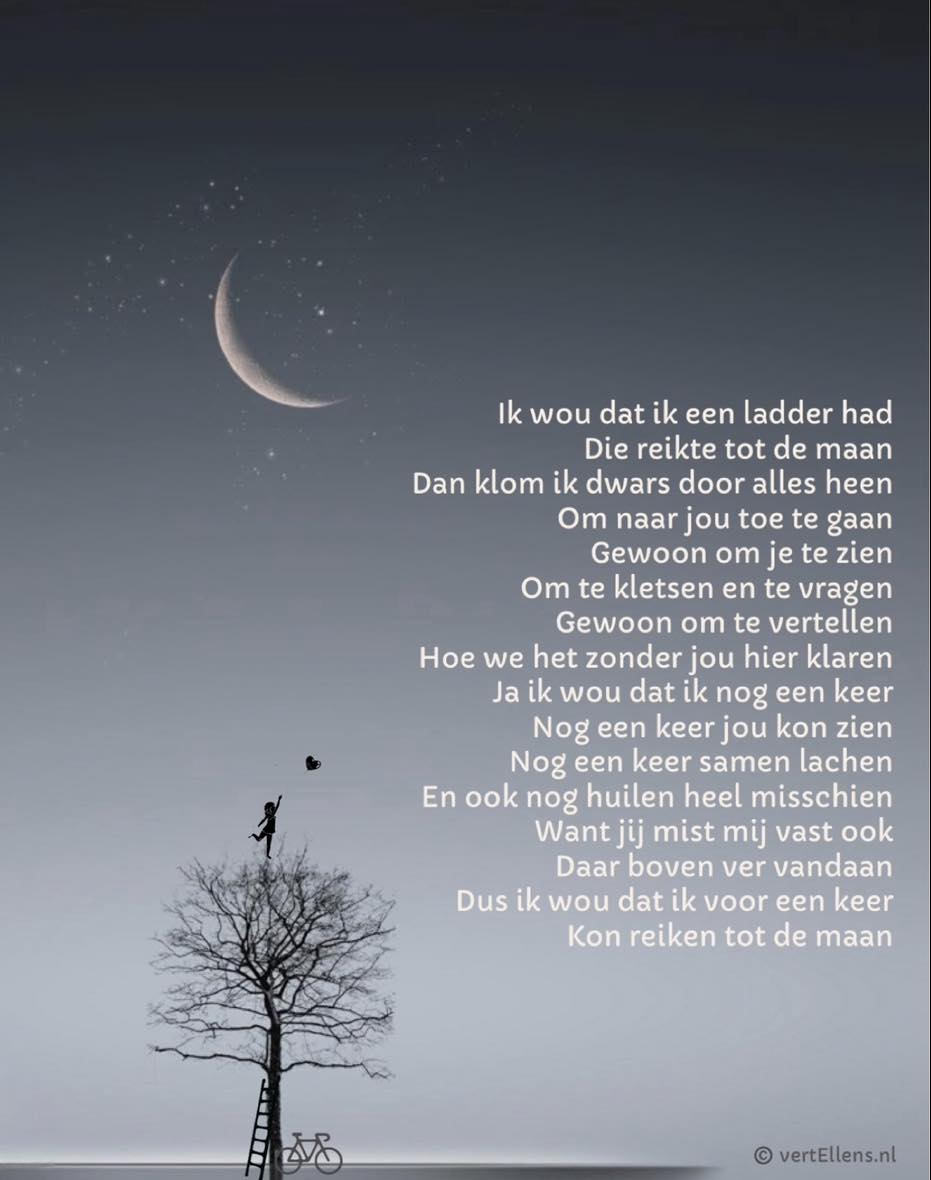 ellen-ik-wou-dat-ik-een-ladder-had-soms-wens-ik-dat-ik-een-ladder-had