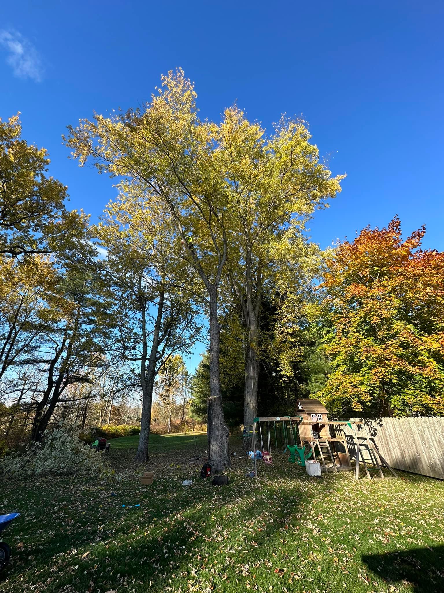 Ballston Tree & Property Services | Ballston Spa NY