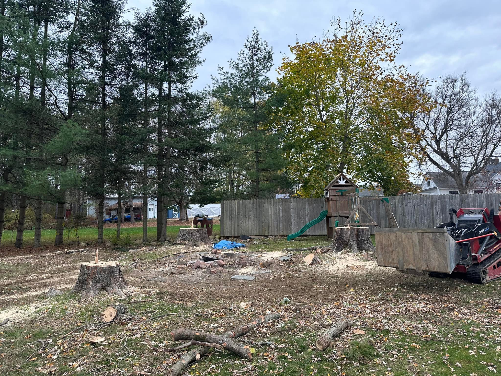 Ballston Tree & Property Services | Ballston Spa NY