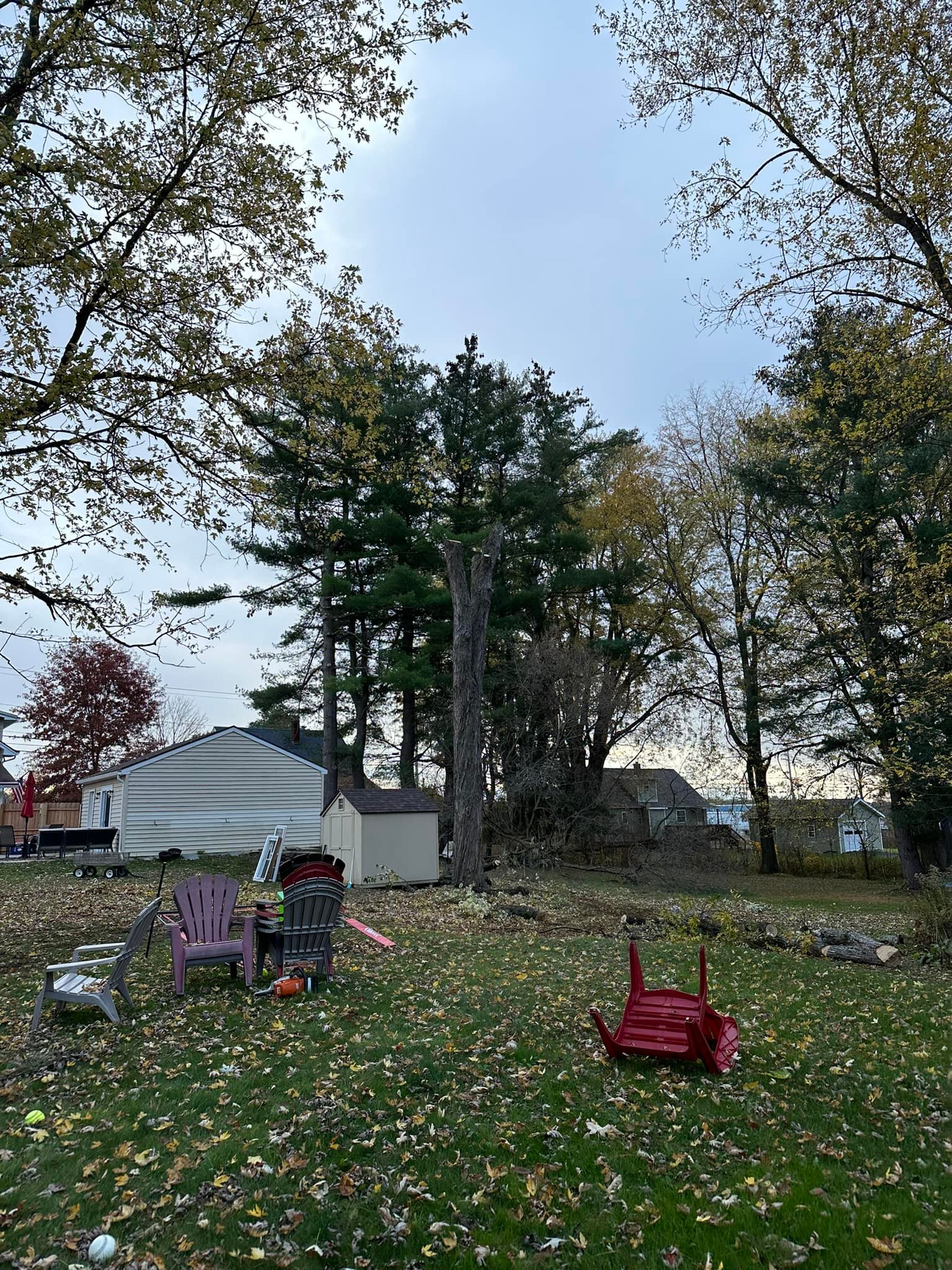 Ballston Tree & Property Services | Ballston Spa NY