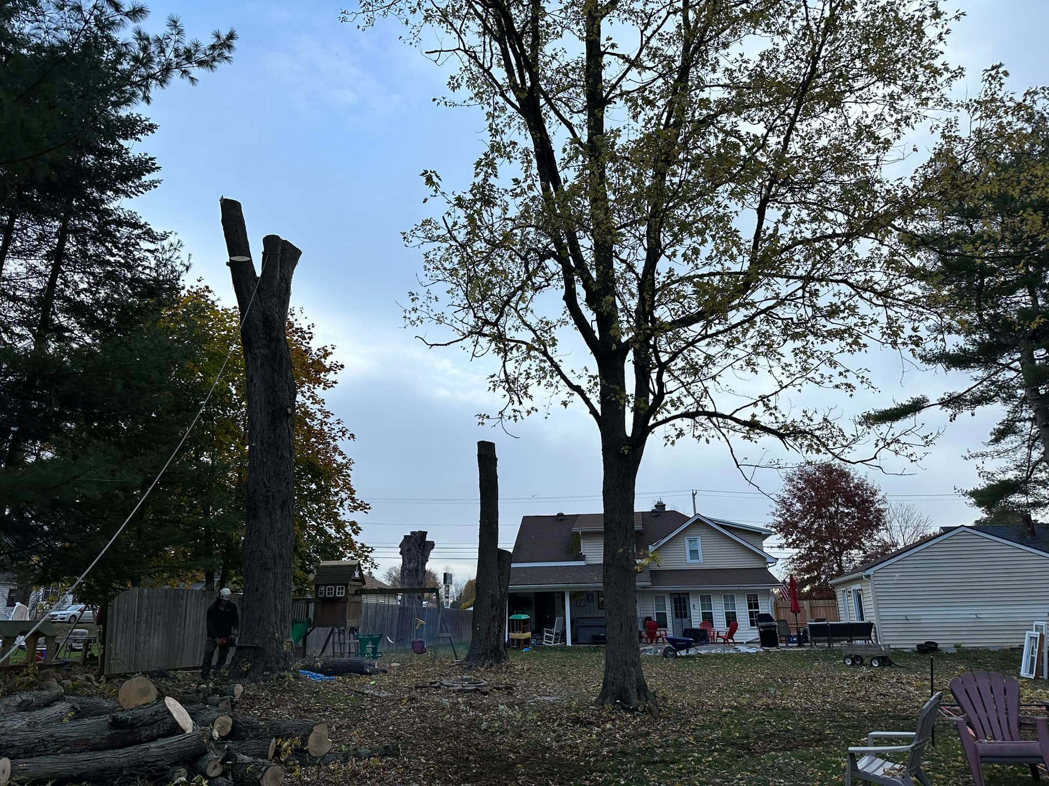 Ballston Tree & Property Services | Ballston Spa NY