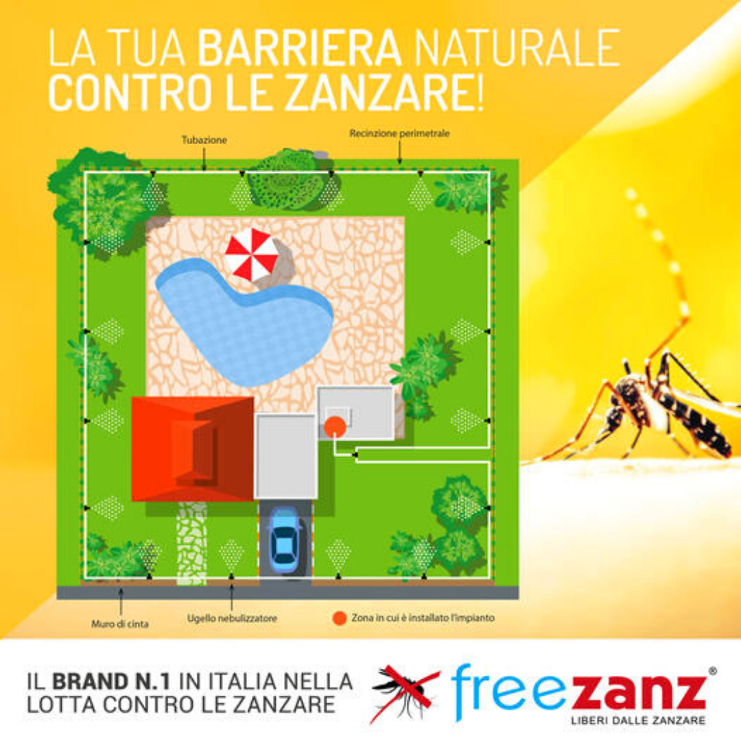 Freezanz - 𝐂𝐨𝐦𝐞 𝐞𝐥𝐢𝐦𝐢𝐧𝐚𝐫𝐞 𝐝𝐞𝐟𝐢𝐧𝐢𝐭𝐢𝐯𝐚𝐦𝐞𝐧𝐭𝐞 𝐥𝐞 𝐳𝐚𝐧𝐳𝐚𝐫𝐞 𝐝𝐚𝐥 𝐠𝐢𝐚𝐫𝐝𝐢𝐧𝐨? 🏆 Il ...