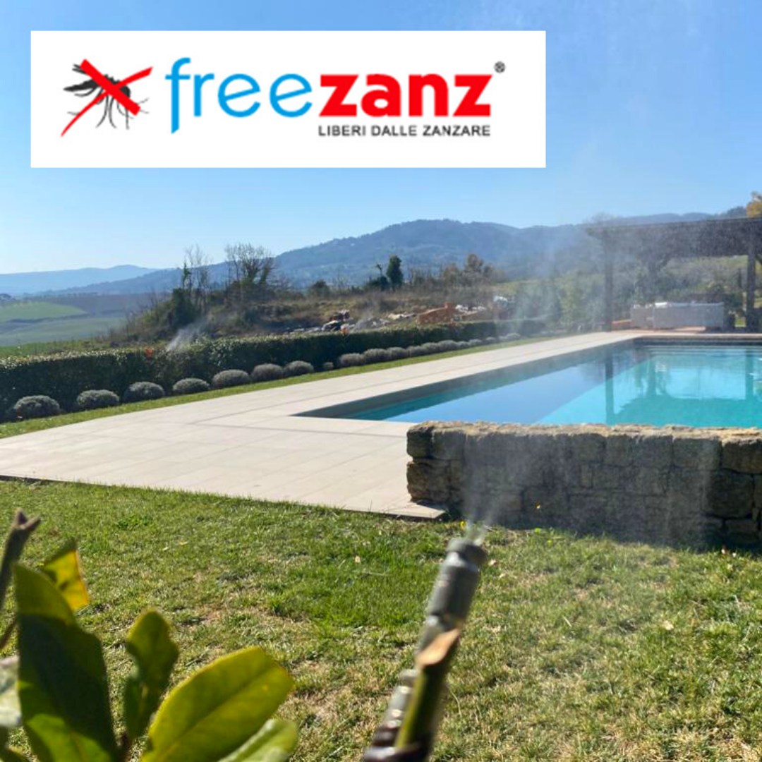 Freezanz - 𝐂𝐨𝐦𝐞 𝐞𝐥𝐢𝐦𝐢𝐧𝐚𝐫𝐞 𝐝𝐞𝐟𝐢𝐧𝐢𝐭𝐢𝐯𝐚𝐦𝐞𝐧𝐭𝐞 𝐥𝐞 𝐳𝐚𝐧𝐳𝐚𝐫𝐞 𝐝𝐚𝐥 𝐠𝐢𝐚𝐫𝐝𝐢𝐧𝐨? 🏆 Il ...