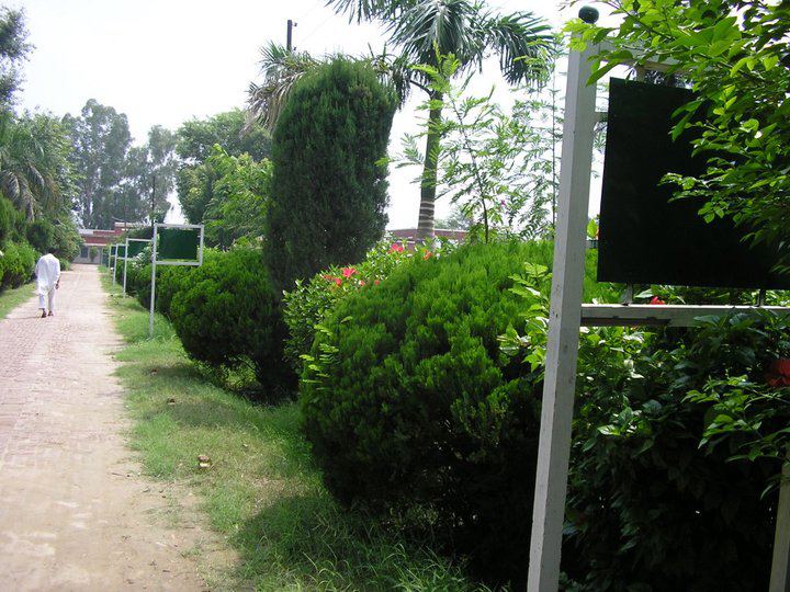 Government Higher Secondary School, Awagat, Faisalabad