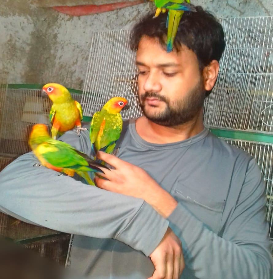 Noyon Aviary Bogura