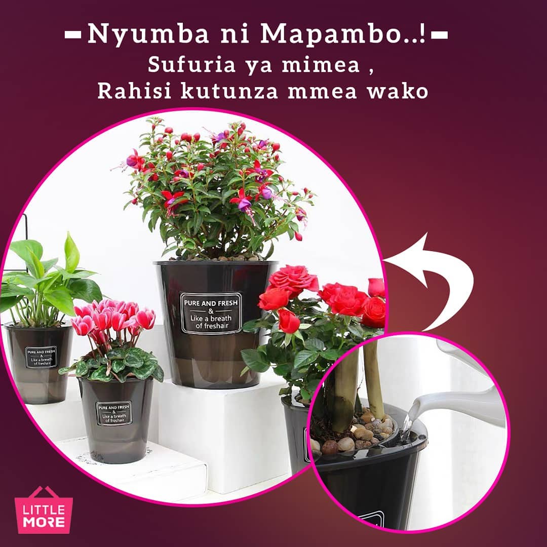 Nyumba ni mapambo..! Sufuria za... - Little More Tanzania | Facebook