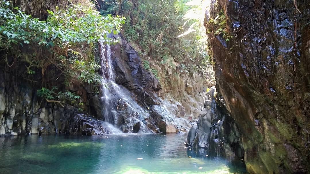 Central - Black canyon yang masih berada satu kawasan dengan ...