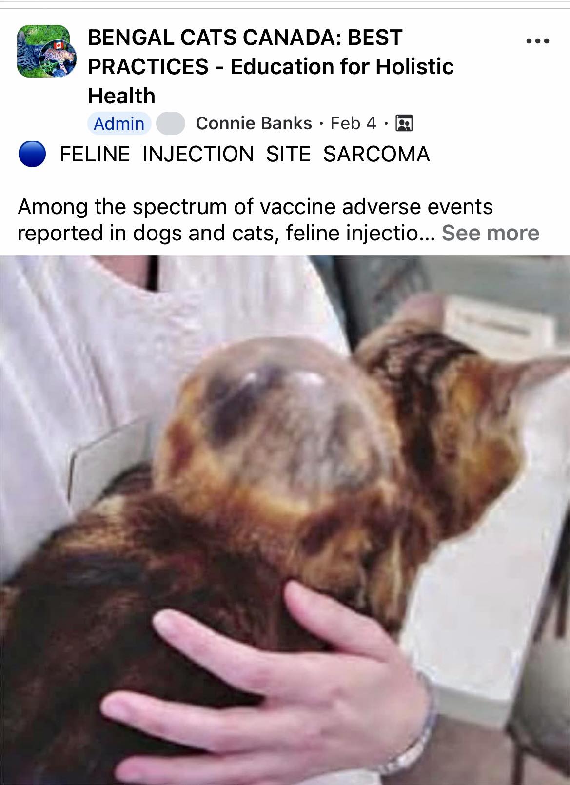 b12 injection lump cat Is site sarcoma more likely in related cats? dose of b12 injections Size:100 mg Hayfever Injection